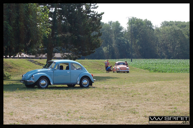 gal/Meeting_vwspirit_2006/lefrouze_meeting_vwspirit_2006_119.jpg