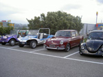 gal/BBQ_vw_virus_juillet_2004/_thb_one_vwirus_045.jpg