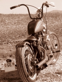 image-5.jpg