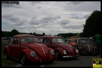 Filename=vwspirit_ch_BugIN_0_113.jpg
Filesize=69KB
Dimensions=800x533
Date added=Jul 08, 2007 vwspirit_ch_BugIN_0_113.jpg