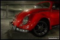 DSC_1445_0_3_[800x600].jpg