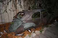 TN-IMG_0619.jpg