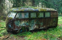 mossy-vw-bus.jpg