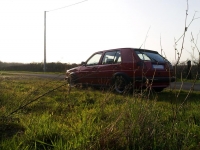 250320122438_.jpg