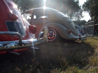 DSCF0359.JPG