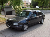 polo1.JPG