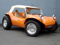 Manx-Buggy-Schrickel2.jpg