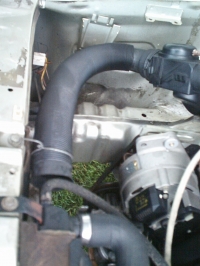 Filename=Motor_2.JPG
Filesize=270KB
Dimensions=864x1152
Date added=May 31, 2006 Motor_2.JPG