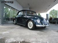 julio_vwsp_026.jpg